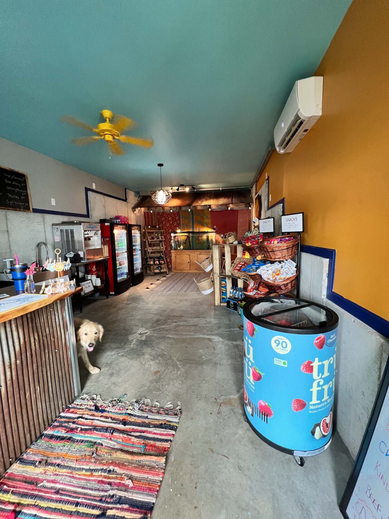 Scooters - Inside The Rental Shack